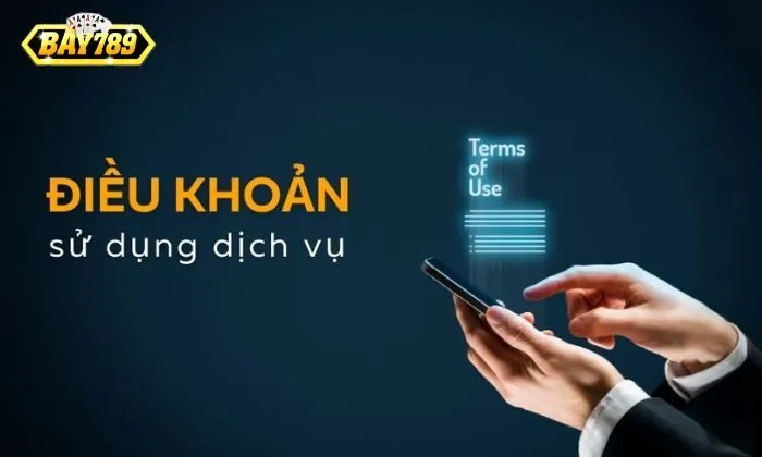 điều khoản sử dụng Đánh giá về điều khoản sử dụng của Bay789
